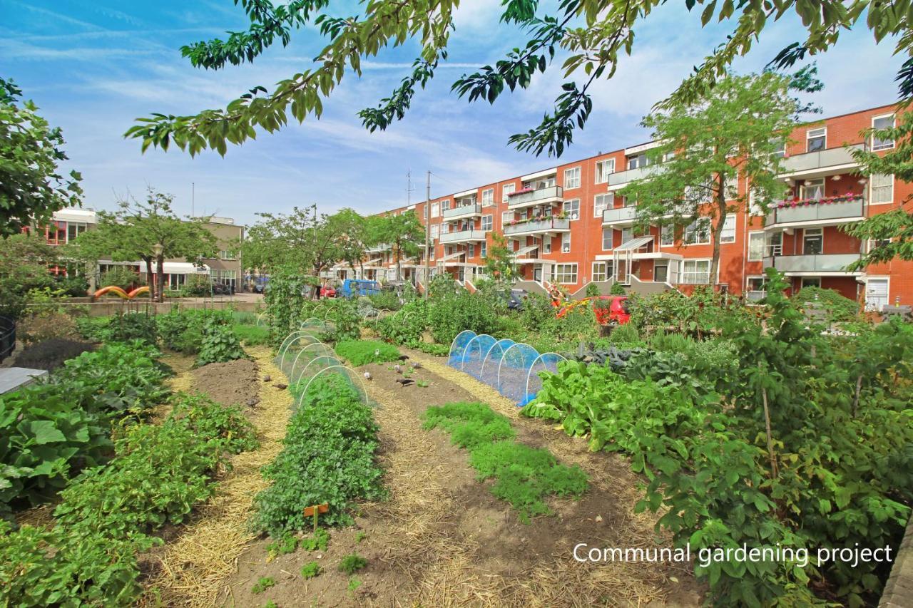 New Monumental Garden View Studio Amsterdam Phòng bức ảnh